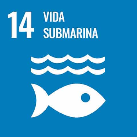 Metaverso Objetivos de Desarrollo Sostenibles 14. Vida Submarina