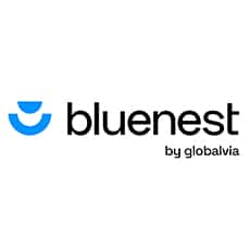 logo bluenest